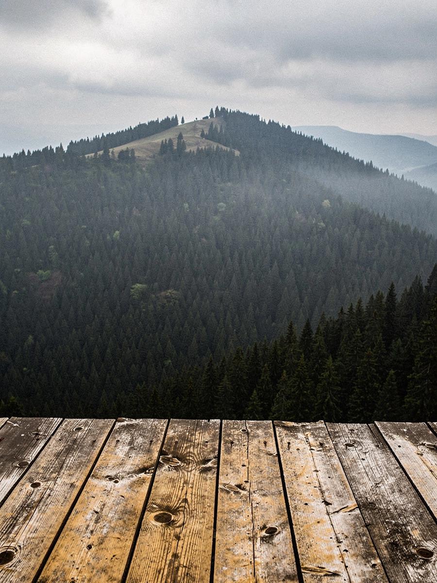 Timber deck looking out over a spruce forest ridge at 1,350 metres in the Carpathians